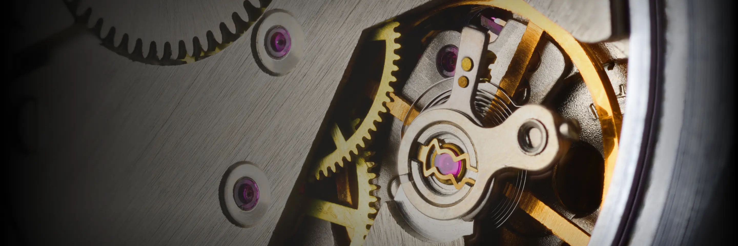 Timeless Precision, Curated for You